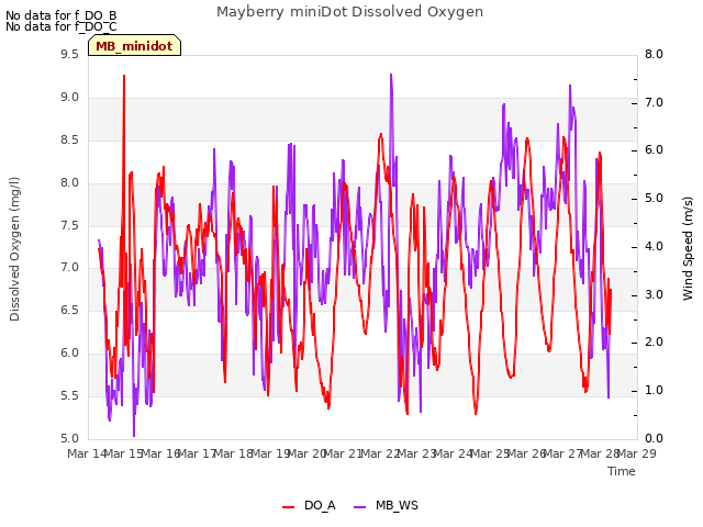 plot of Mayberry miniDot Dissolved Oxygen