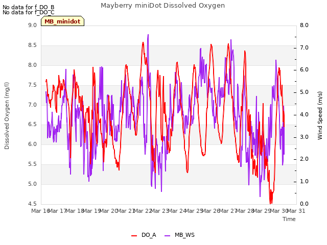 plot of Mayberry miniDot Dissolved Oxygen