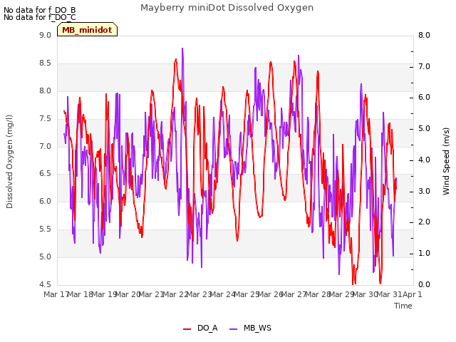 plot of Mayberry miniDot Dissolved Oxygen