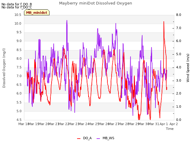 plot of Mayberry miniDot Dissolved Oxygen