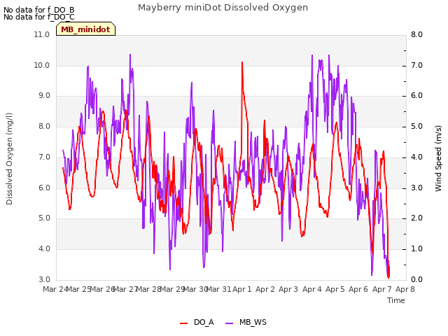 plot of Mayberry miniDot Dissolved Oxygen