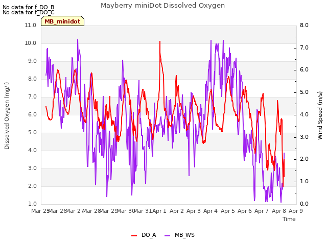 plot of Mayberry miniDot Dissolved Oxygen