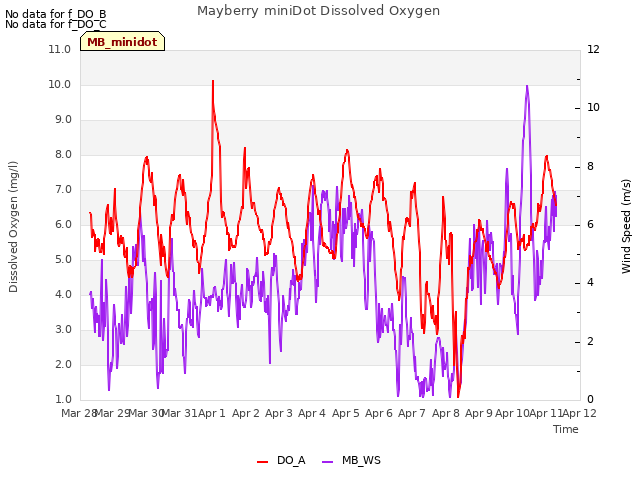 plot of Mayberry miniDot Dissolved Oxygen