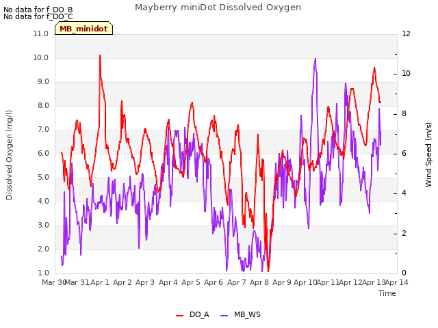 plot of Mayberry miniDot Dissolved Oxygen