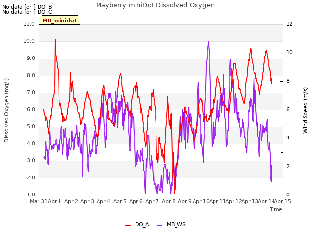 plot of Mayberry miniDot Dissolved Oxygen