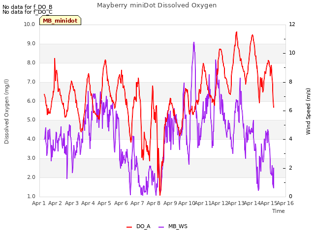 plot of Mayberry miniDot Dissolved Oxygen