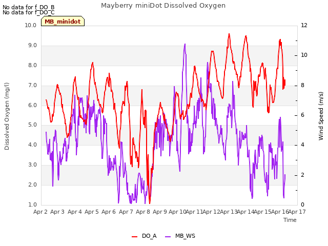 plot of Mayberry miniDot Dissolved Oxygen