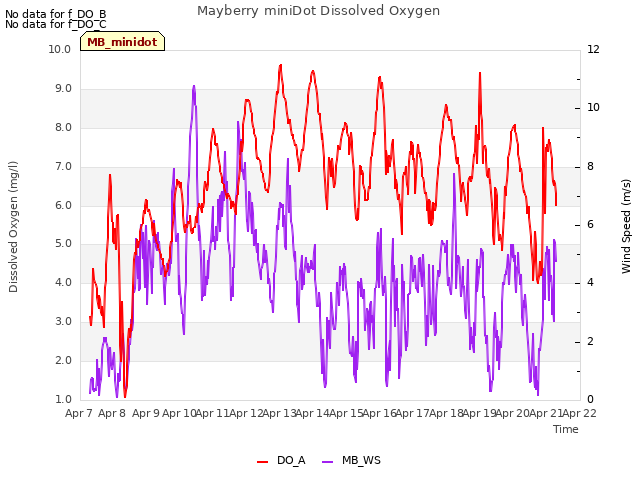 plot of Mayberry miniDot Dissolved Oxygen