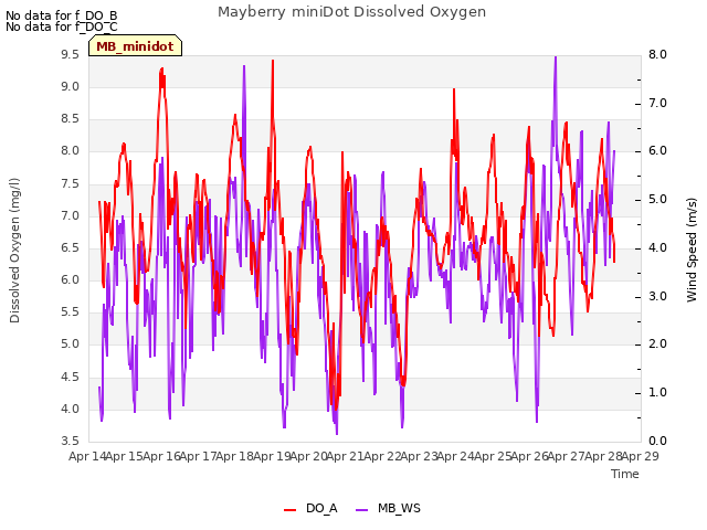 plot of Mayberry miniDot Dissolved Oxygen