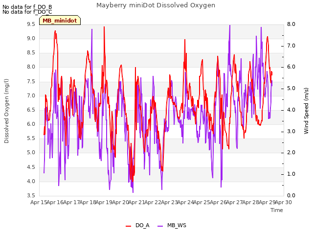 plot of Mayberry miniDot Dissolved Oxygen