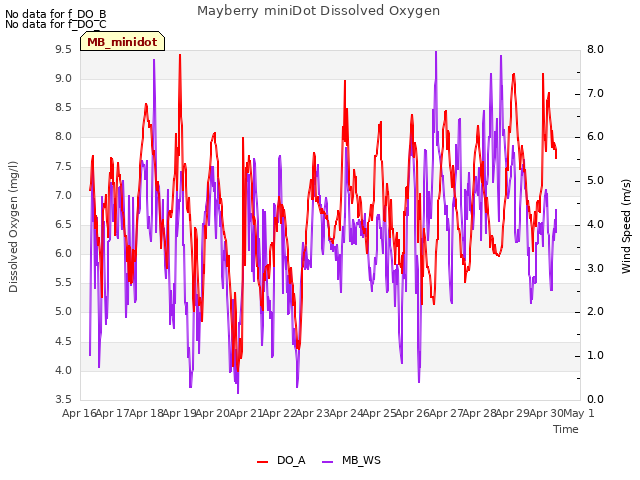 plot of Mayberry miniDot Dissolved Oxygen