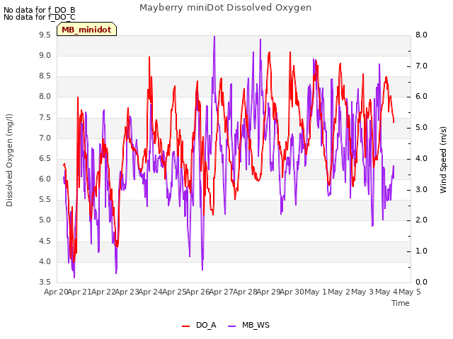 plot of Mayberry miniDot Dissolved Oxygen