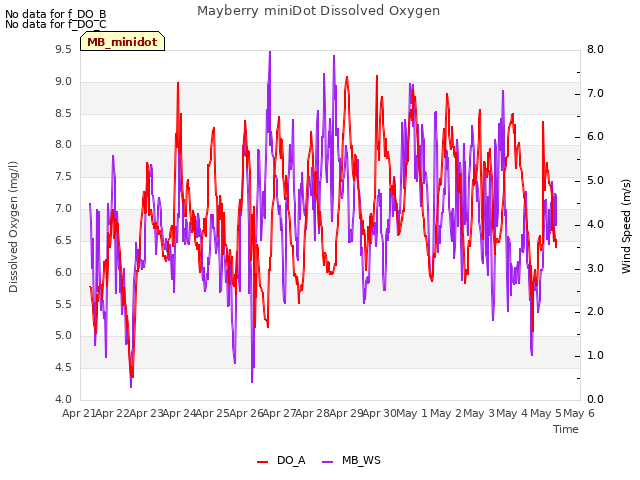 plot of Mayberry miniDot Dissolved Oxygen