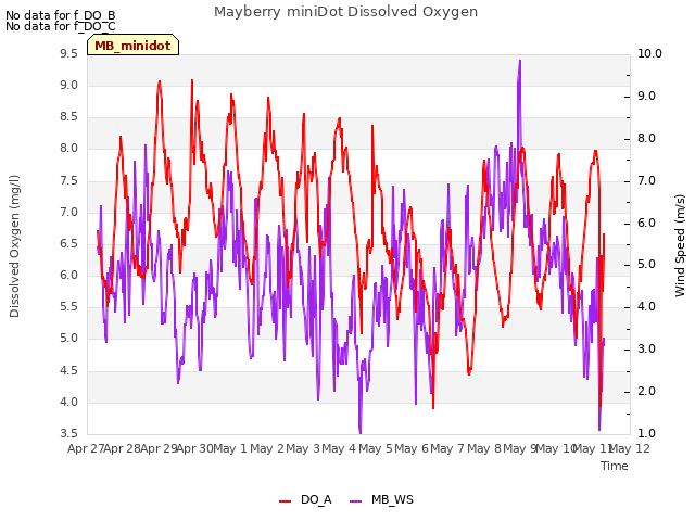 plot of Mayberry miniDot Dissolved Oxygen