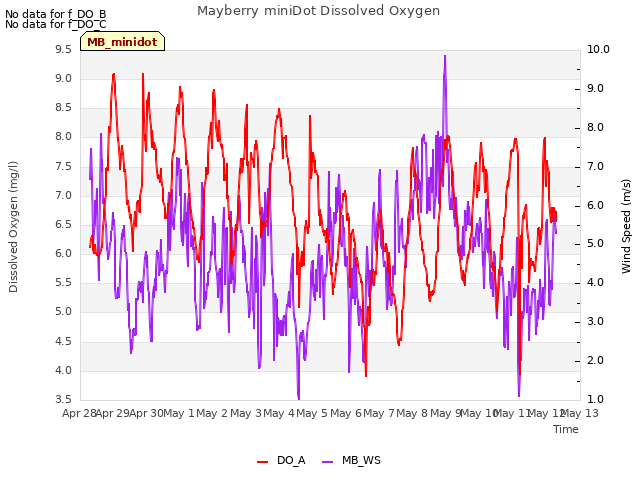 plot of Mayberry miniDot Dissolved Oxygen