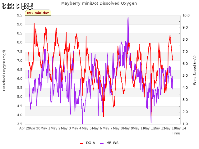 plot of Mayberry miniDot Dissolved Oxygen