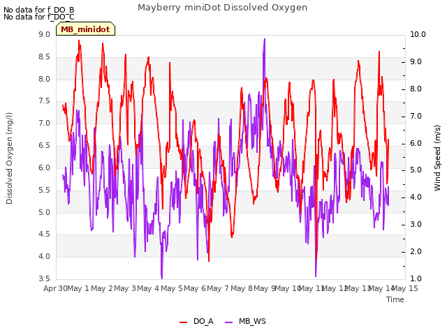 plot of Mayberry miniDot Dissolved Oxygen