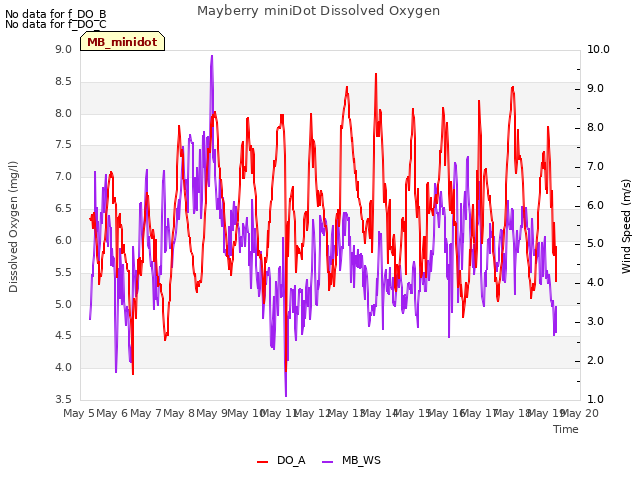 plot of Mayberry miniDot Dissolved Oxygen