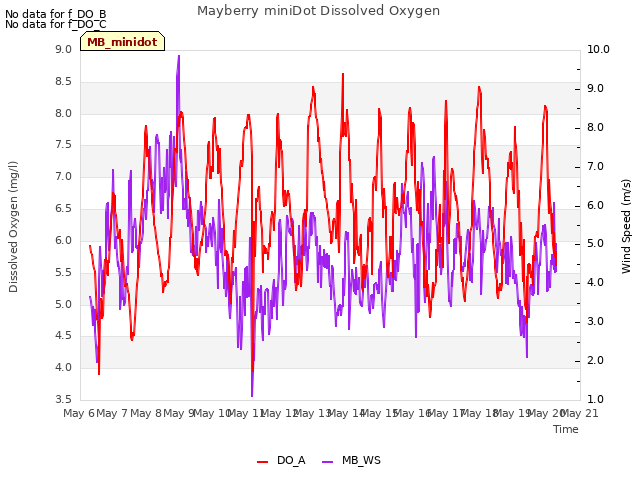 plot of Mayberry miniDot Dissolved Oxygen