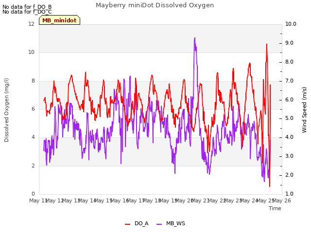 plot of Mayberry miniDot Dissolved Oxygen