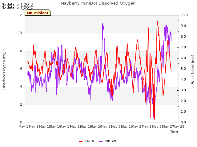 plot of Mayberry miniDot Dissolved Oxygen