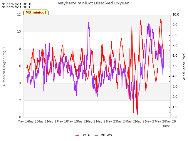 plot of Mayberry miniDot Dissolved Oxygen