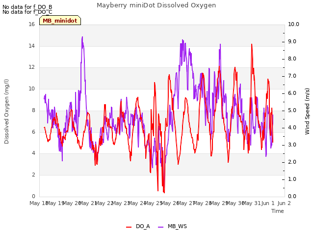 plot of Mayberry miniDot Dissolved Oxygen