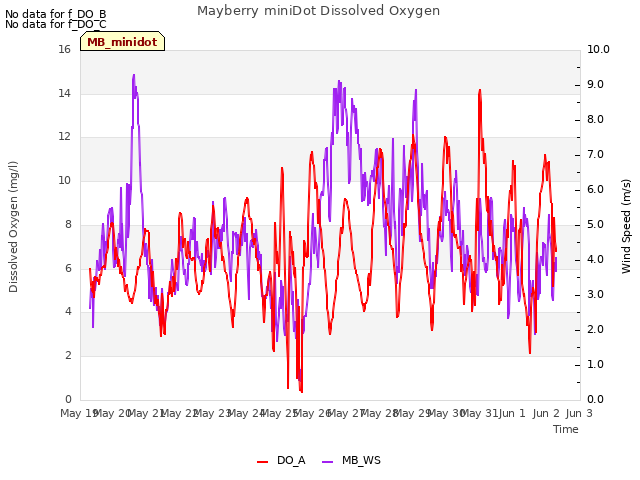 plot of Mayberry miniDot Dissolved Oxygen