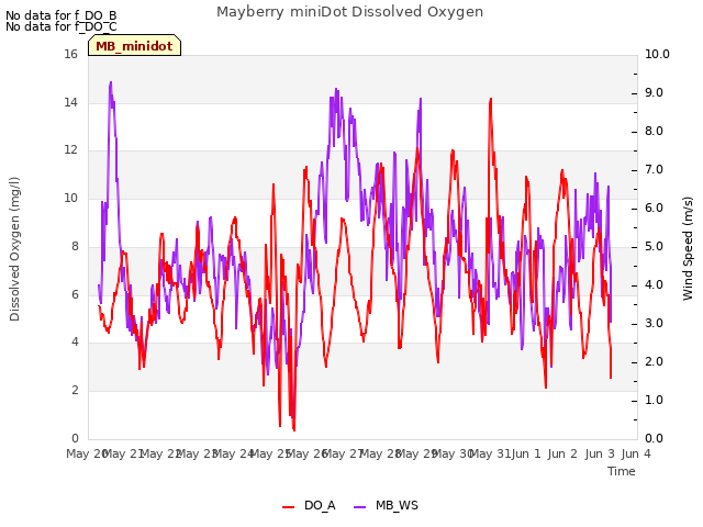 plot of Mayberry miniDot Dissolved Oxygen