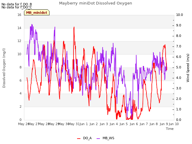 plot of Mayberry miniDot Dissolved Oxygen