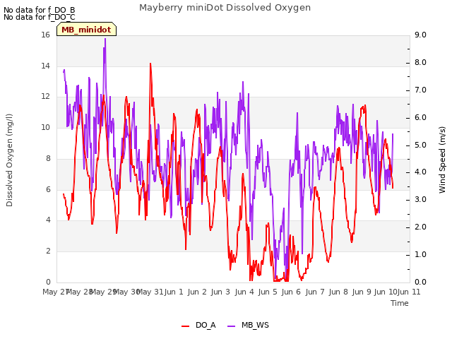 plot of Mayberry miniDot Dissolved Oxygen