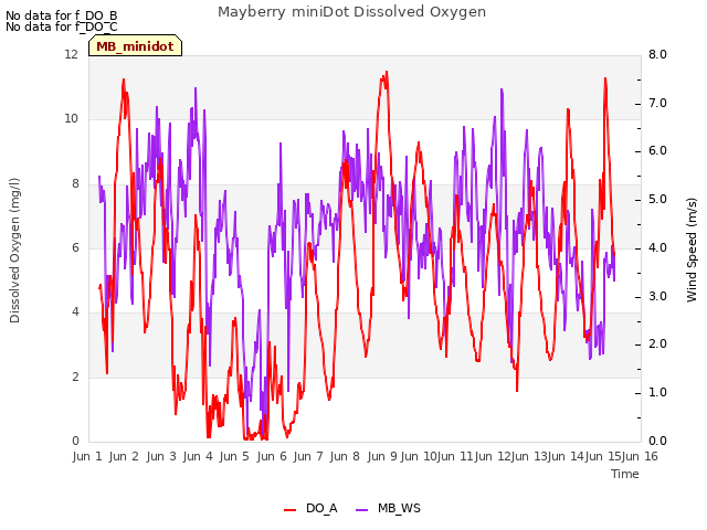 plot of Mayberry miniDot Dissolved Oxygen