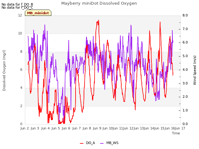 plot of Mayberry miniDot Dissolved Oxygen