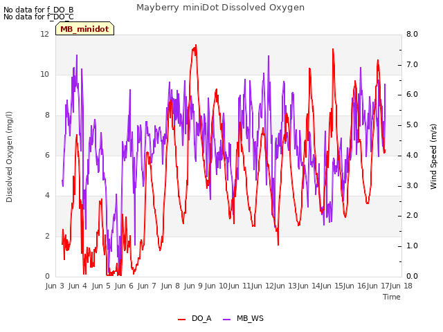 plot of Mayberry miniDot Dissolved Oxygen