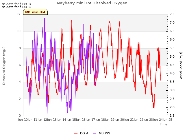 plot of Mayberry miniDot Dissolved Oxygen