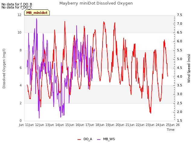 plot of Mayberry miniDot Dissolved Oxygen