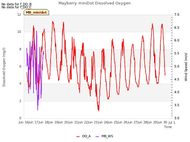 plot of Mayberry miniDot Dissolved Oxygen