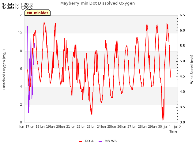 plot of Mayberry miniDot Dissolved Oxygen