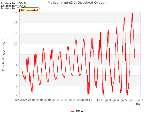 plot of Mayberry miniDot Dissolved Oxygen