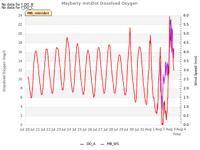 plot of Mayberry miniDot Dissolved Oxygen