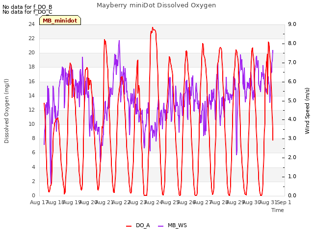 plot of Mayberry miniDot Dissolved Oxygen