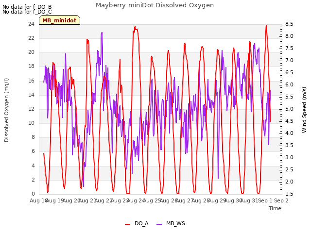 plot of Mayberry miniDot Dissolved Oxygen