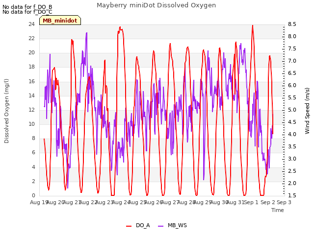 plot of Mayberry miniDot Dissolved Oxygen