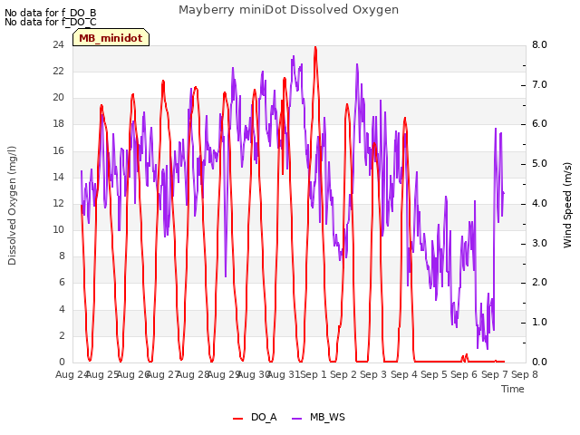 plot of Mayberry miniDot Dissolved Oxygen