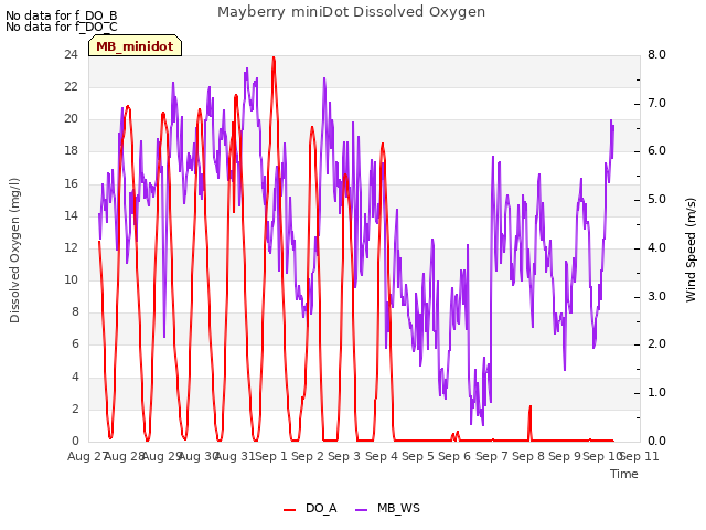 plot of Mayberry miniDot Dissolved Oxygen