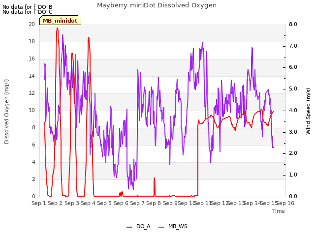 plot of Mayberry miniDot Dissolved Oxygen