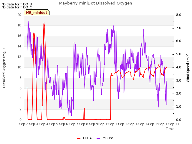 plot of Mayberry miniDot Dissolved Oxygen