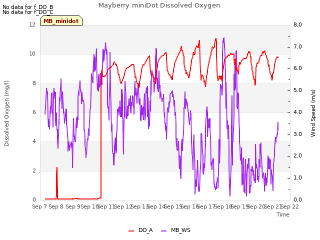 plot of Mayberry miniDot Dissolved Oxygen