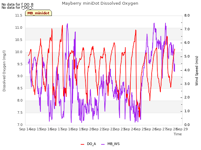 plot of Mayberry miniDot Dissolved Oxygen