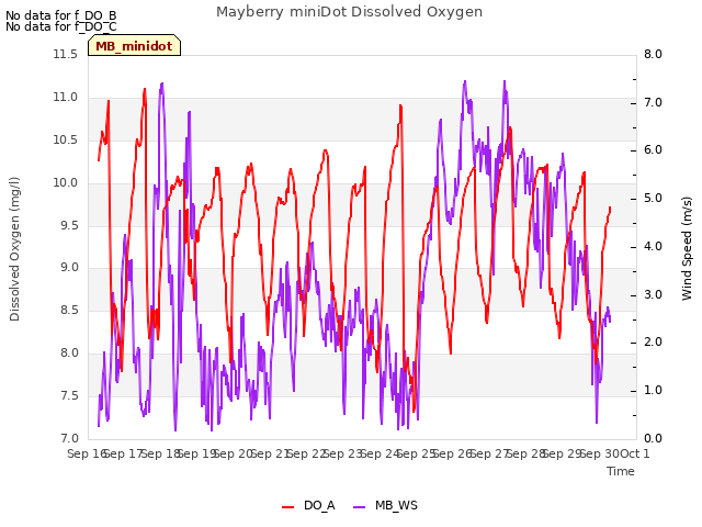 plot of Mayberry miniDot Dissolved Oxygen